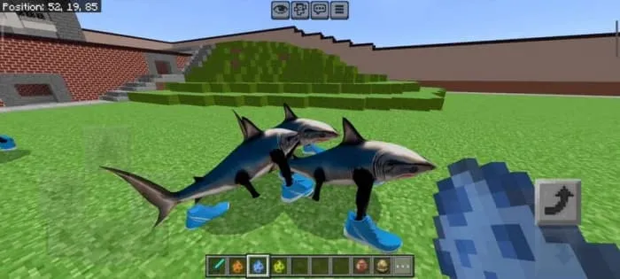 Акулы в кроссовках