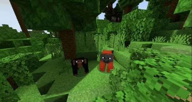 Две обезьяны на фоне зелёной растительности