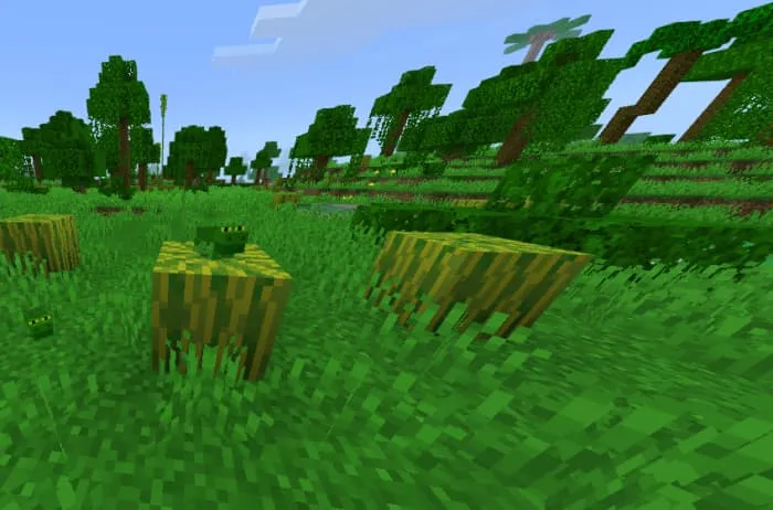 Лягушка на арбузе