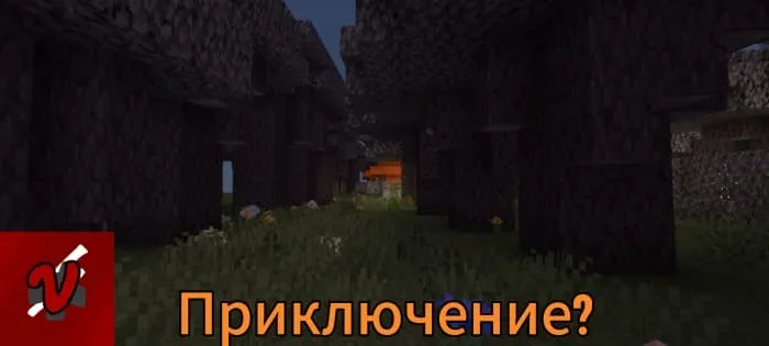 Высокие деревья ночью