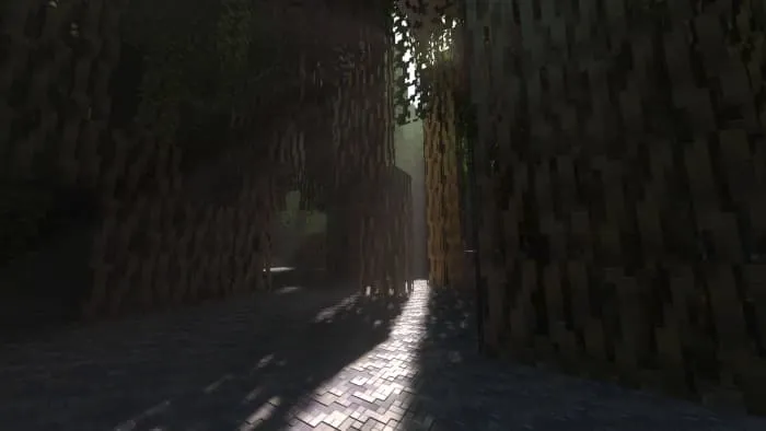 Лучи света на мангровом болоте