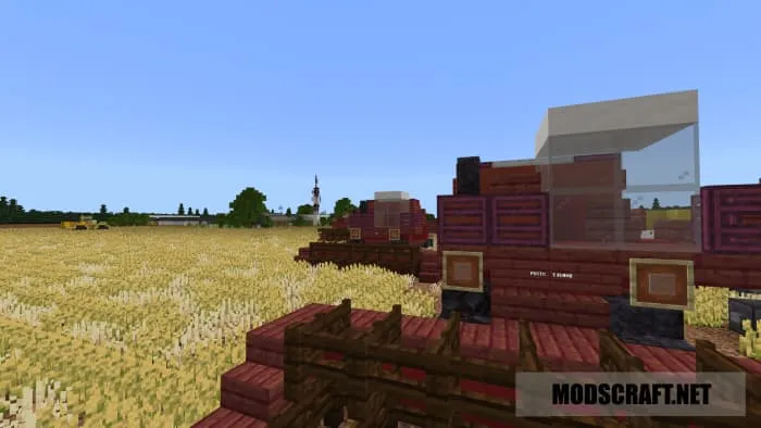 Поле пшеницы