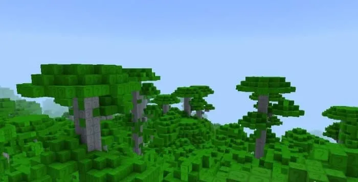 Новый вид джунглей