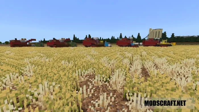 Уборщики на поле из пшеницы