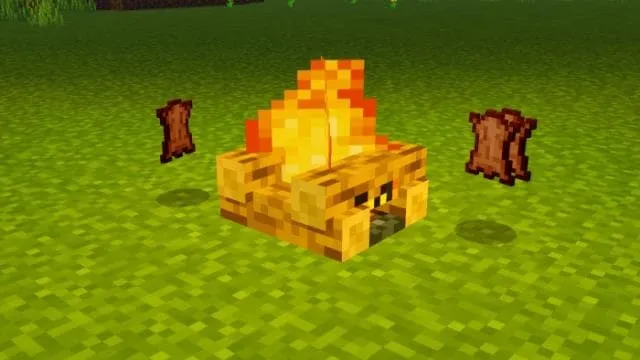 Кожа из гнилой плоти