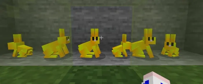 Новые золотые кролики в клетке