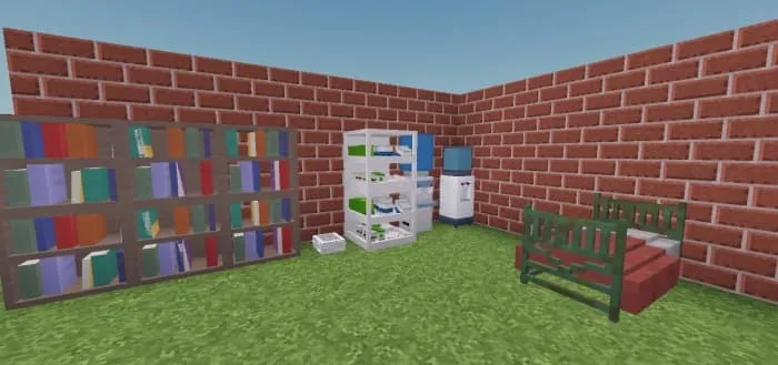 Кровать и книжные полки