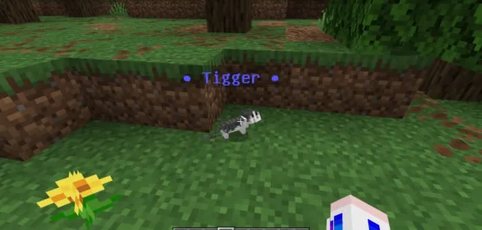 Кот с синим наименованием