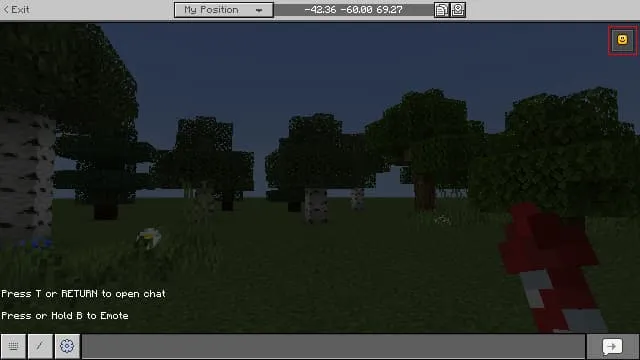 Обычный чат в игре с иконкой эмодзи