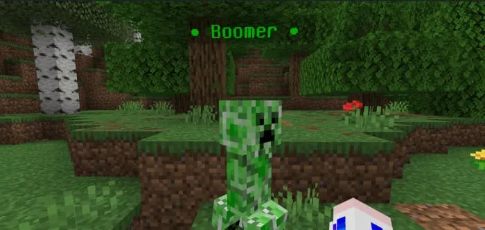 Крипер с новым зеленым именем