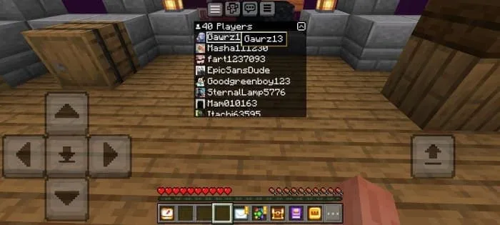 Развёрнутый список игроков сервера в Minecraft