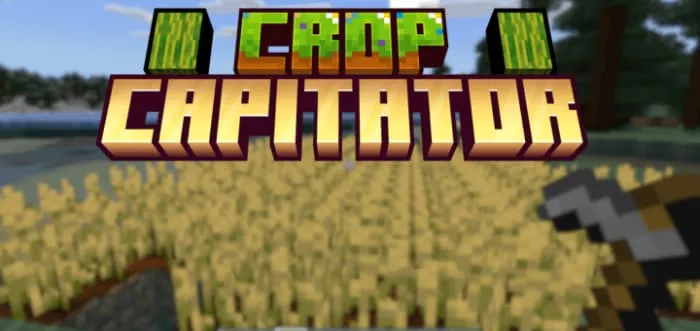 Название мода на фоне поля пшеницы