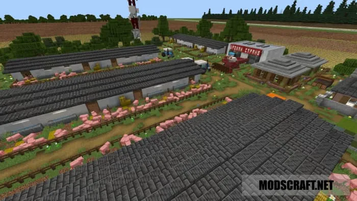 Ферма в городе