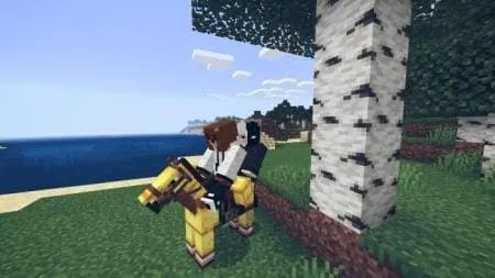 Езда на лошади в двоем