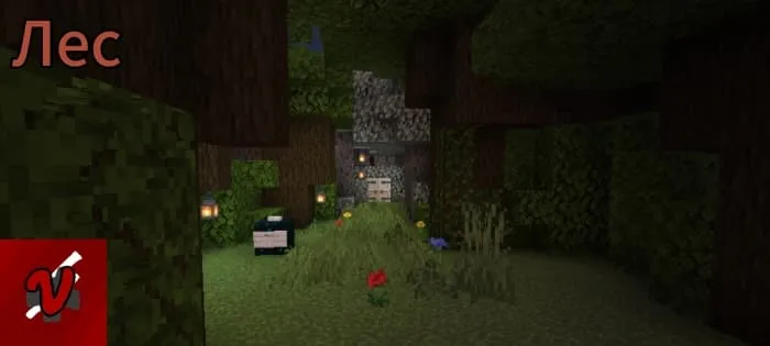 Лес и табличка