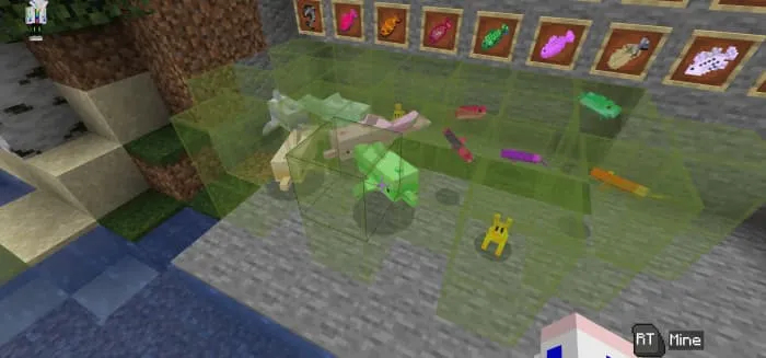 Разнообразные виды рыб и дельфинов