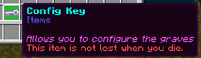 Ключ конфигурации с описанием в инвентаре игрока