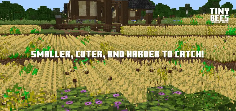 Группа маленьких пчел над полем пшеницы