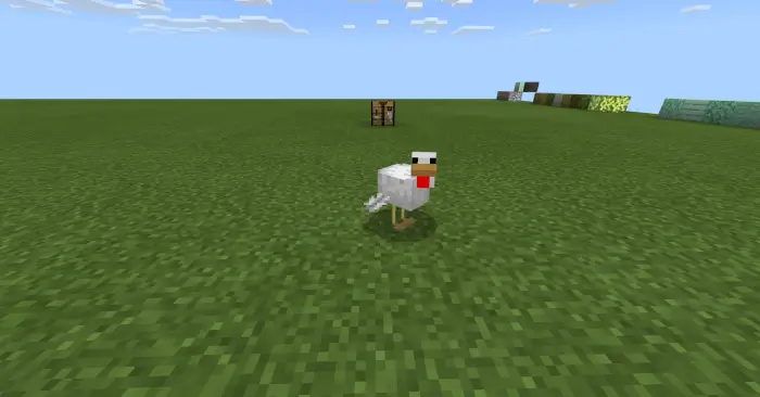 Перо дропнутое с курицы