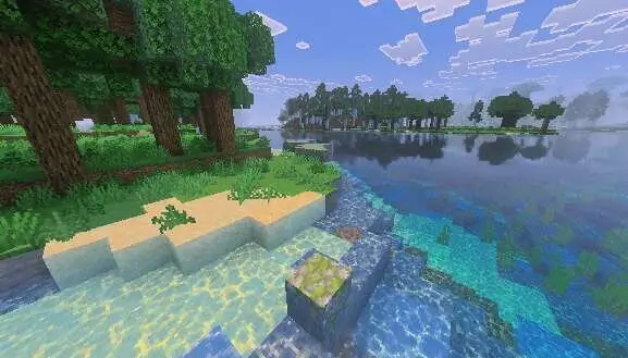 Трава у берега воды