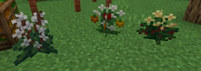 Три растения с плодами на траве