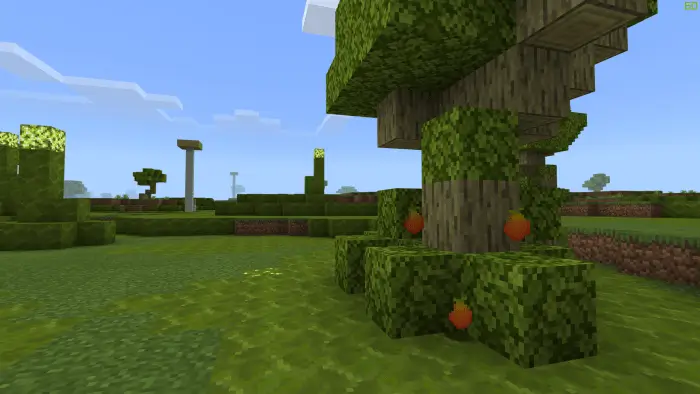 Деревья биома чумы