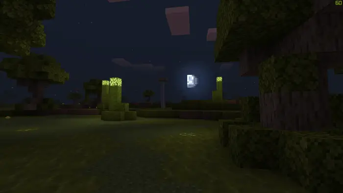 Биом чумы ночью