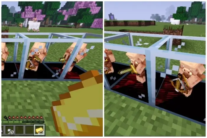 Несколько пиглинов в стеклянных клетках