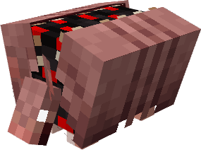 Броненосец с большой пастью на панцире