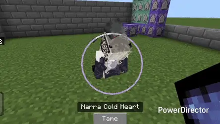 Приручение Нарры с помощью холодного сердца