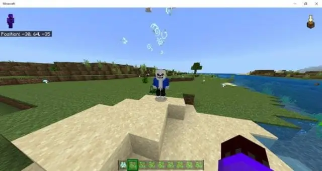 Санс на песке