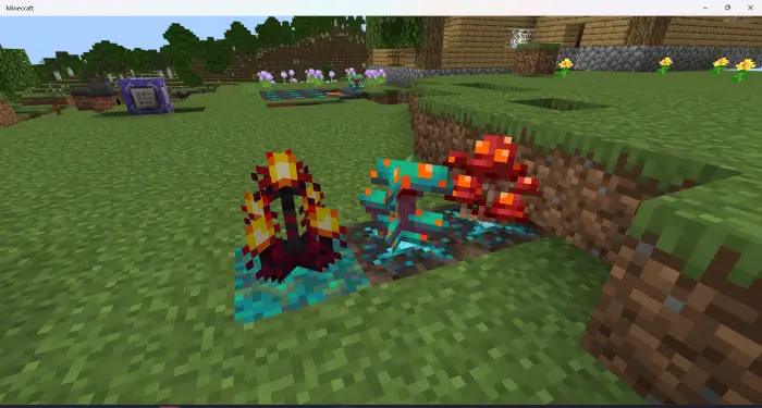 Уникальные растения из Незера