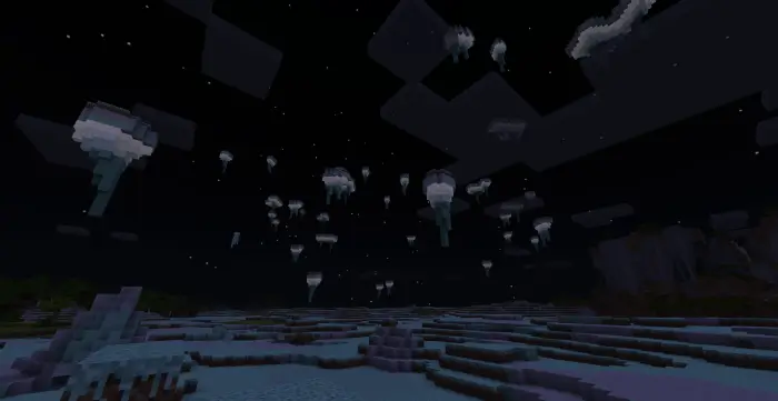 Лунный биом ночью