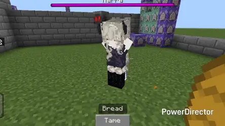 Приручение Нарры с помощью хлеба