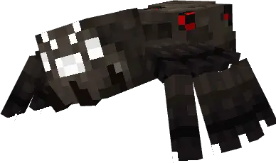 Зараженный паук с красными пятнами