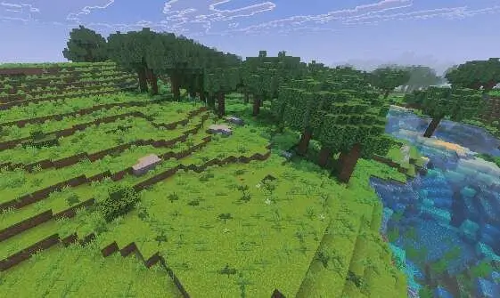 Много травы на земле