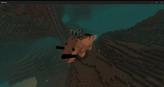 Хоглин колосс