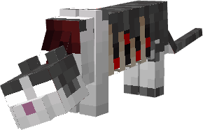 Зараженный кот с видимыми ребрами