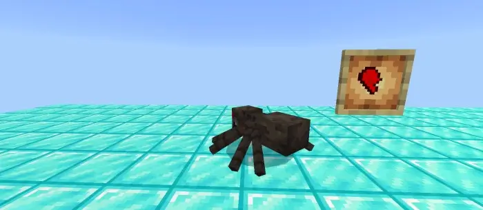 Фрагмент сердца из паука