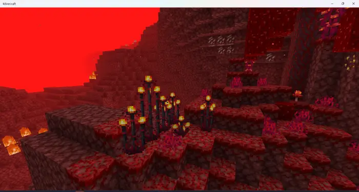 Новые растения в Незера с яркими цветками