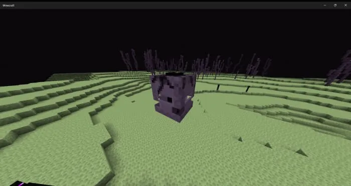 Шалкер колосс