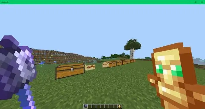 Булава и тотем в руках