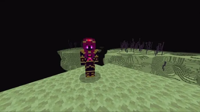 Персонаж в энде