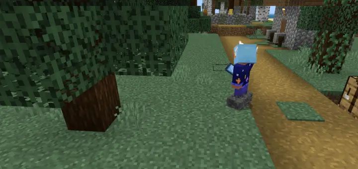 Просмотр с камеры