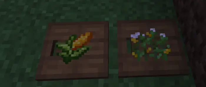 Семена и кукуруза на разделочных досках