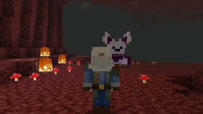 Новый питомец