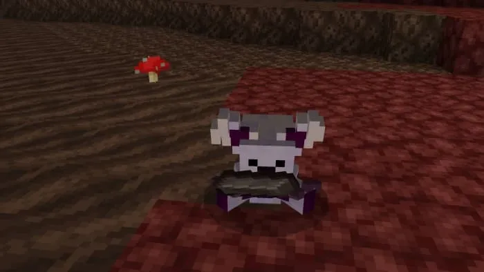 Использование питомца