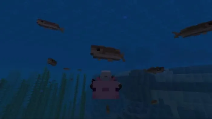 Новый вид океана