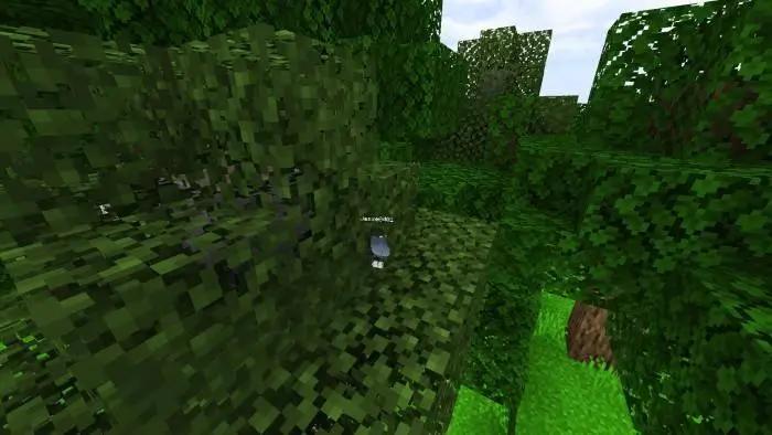 Отображение игрока через листву