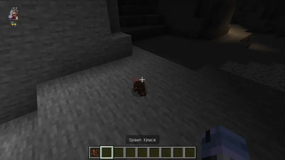 Крыса в карстовой пещере